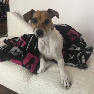 Meet your Posher, Carlos